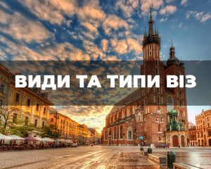 Види та типи віз